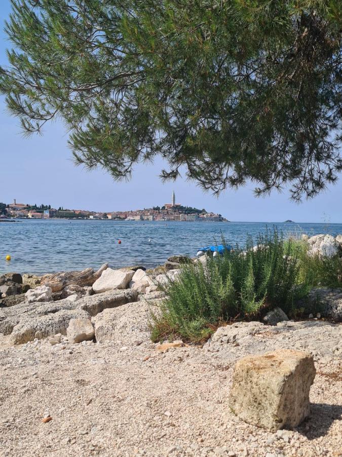 Hemy Casa - Lux Mobile Homes Rovinj Eksteriør bilde